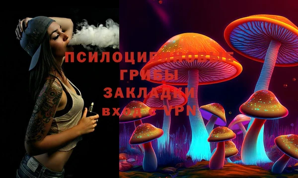 наркотики Алексин