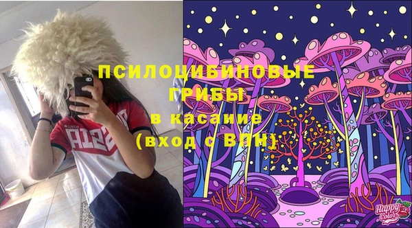 ПСИЛОЦИБИНОВЫЕ ГРИБЫ Алексеевка