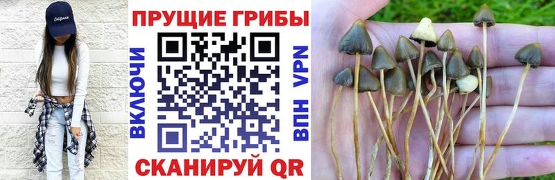 Галлюциногенные грибы GOLDEN TEACHER  Одинцово 